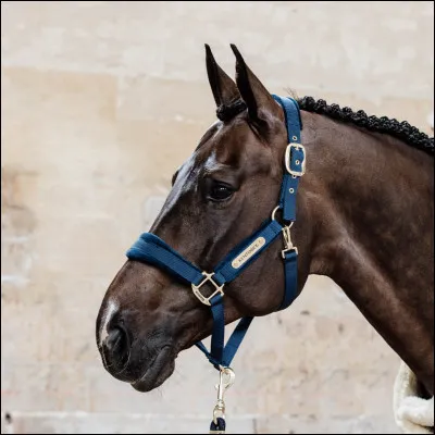 Comment s'appelle cet objet ?