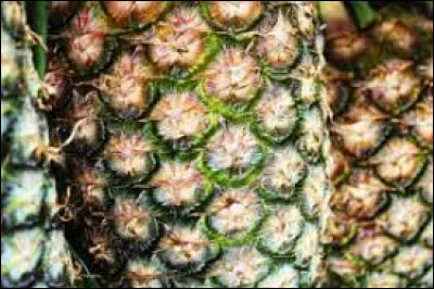 Quel est le nom de ce fruit ?