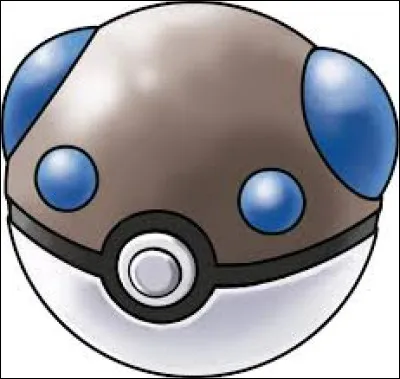 Quel est le nom de cette Poké Ball ?