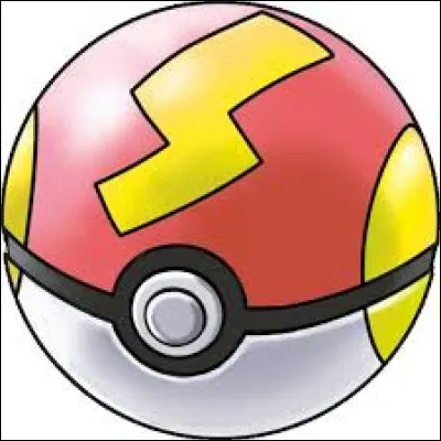 Quel est le nom de cette Poké Ball ?