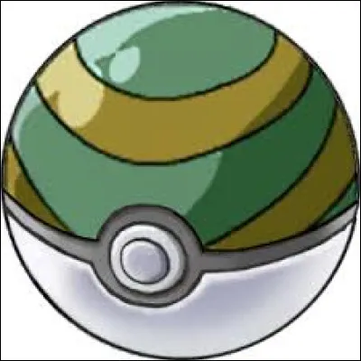 Quel est le nom de cette Poké Ball ?