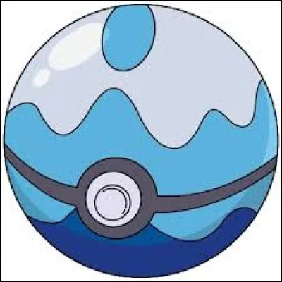 Quel est le nom de cette Poké Ball ?