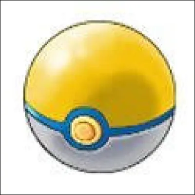 Quel est le nom de cette Poké Ball ?