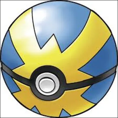 Quel est le nom de cette Poké Ball ?