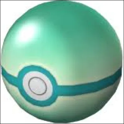 Quel est le nom de cette Poké Ball ?