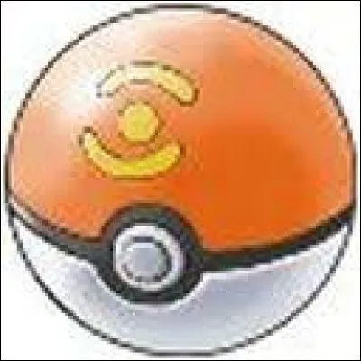 Quel est le nom de cette Poké Ball ?