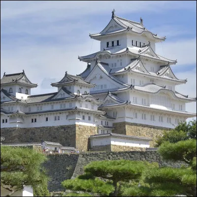 Quelle est la langue officielle de ce pays ?