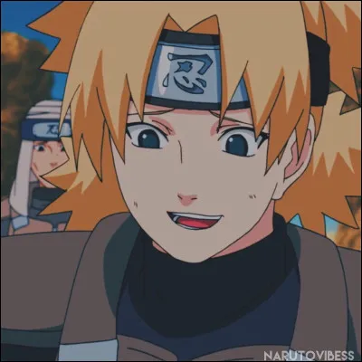 Qui est cette ninja ?