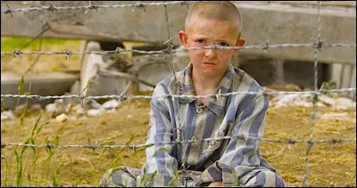 Quel est ce film sorti en 2008, décrivant la dure réalité de la Shoah ?