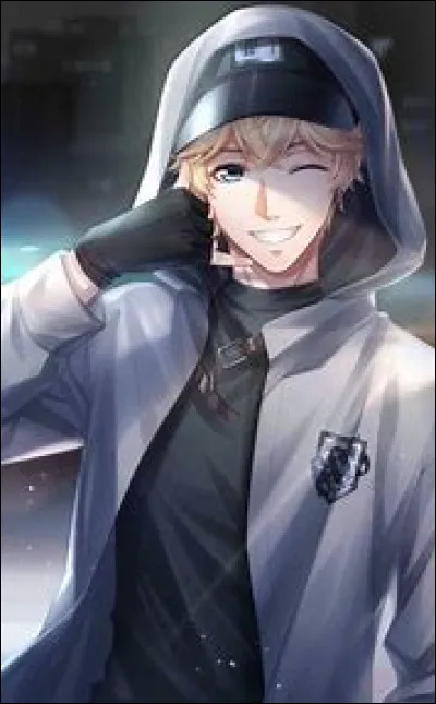 Quel style veux-tu ?