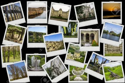 Si tu as choisi "autre", dans quel lieu voudras-tu qu'il vive ?