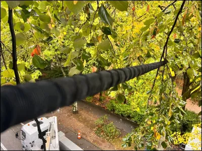 En 2023, la ville de Guebwiller en Alsace s'est équipée ...