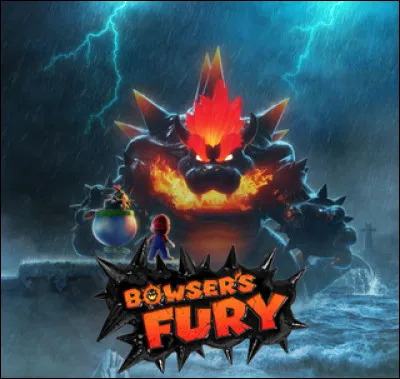 Comment se nomment les collectibles de ''Bowser's Fury'' ?