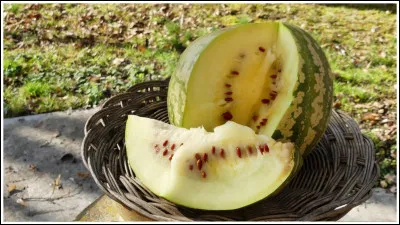 Quel est le nom de cette pastèque à chair blanche ?