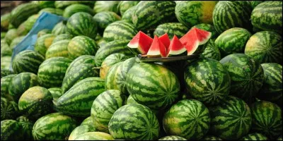 Quel pays est le plus gros producteur de pastèques au monde ?