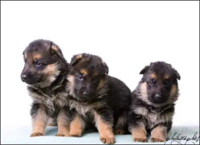 Un peu plus dur, voici le...