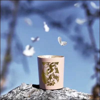 "En apesanteur" est une chanson de Pascal Obispo.