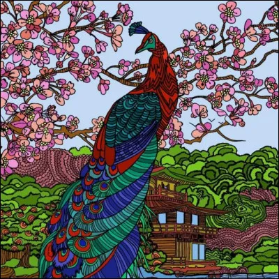 Le paon peut-il voler ?