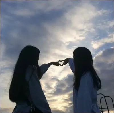 Qui serait ta meilleure amie ?