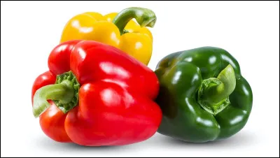 Le poivron chocolat est nommé ainsi en raison de...
