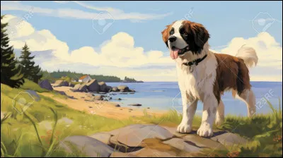 Quel est ton endroit préféré ?