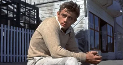 Quelle est l'initiale du nom de l'écrivain américain à qui l'on doit le roman "A l'est d'Eden" ?