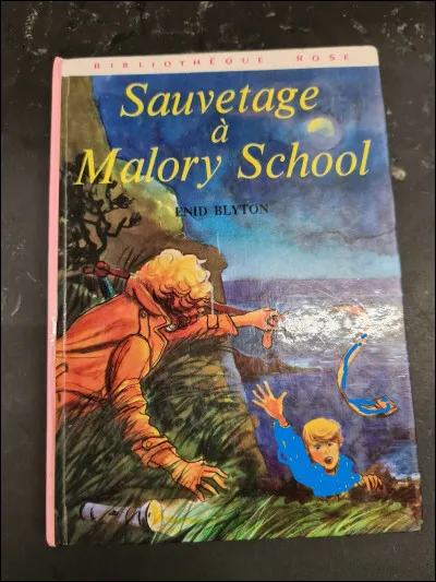 Quelles sont les couleurs de luniforme des filles de ''Malory School'' ?