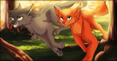 À la suite de quelle action Nuage de Feu et Nuage Gris sont-ils faits guerriers ?