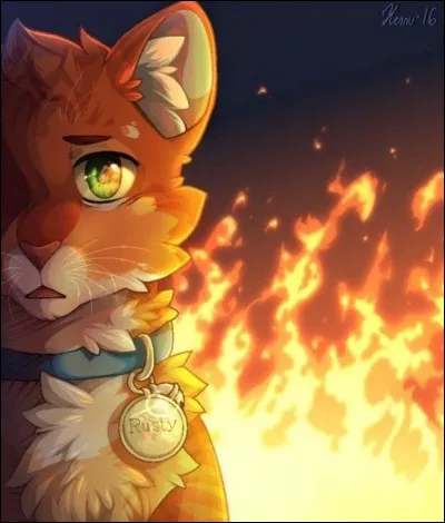 Avec qui se bat Rusty pour prouver qu’il a l’étoffe d’un chat des Clans ?