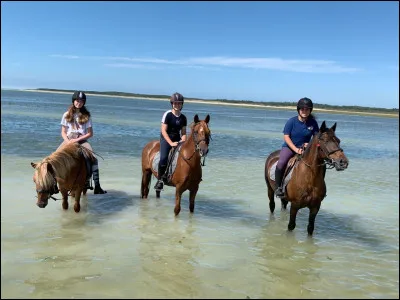 Quelle est ta marque préférée ?