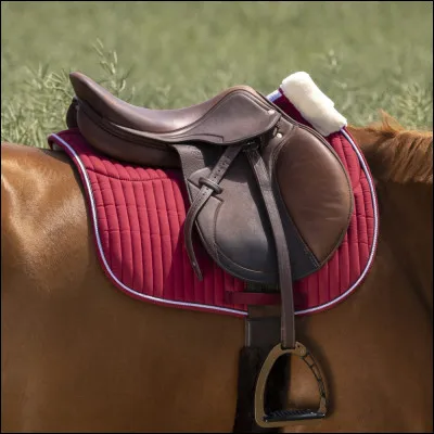 Quel est ton équipement préféré ?