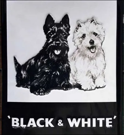 Quel produit distribue cette marque ?