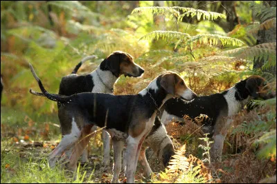 Comment te décrirais-tu ? (2)