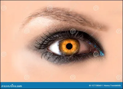 Quelle est ta couleur préférée entre celles-ci (pour les yeux) ?