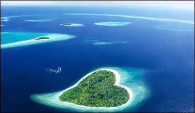 Aimes-tu les chiens ?