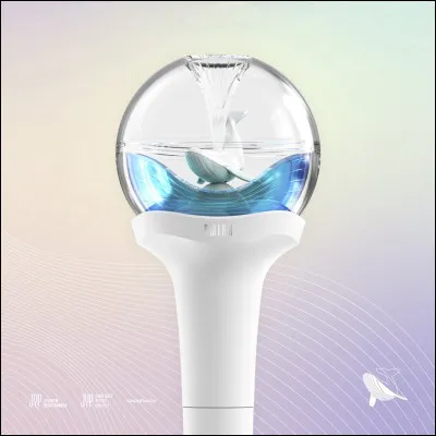 A quel groupe ce lightstick appartient-il ?