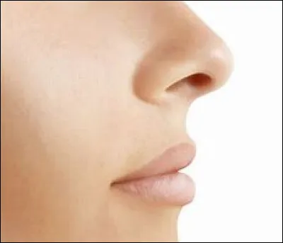 Le nez continue de grandir même quand on est mort.