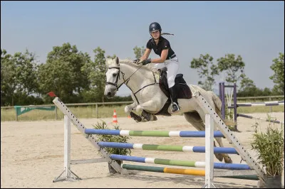 Quel est cet obstacle ?