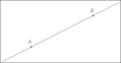 Vrai ou faux ? On ne peut pas tracer un segment sur une droite, l'image est donc fausse.