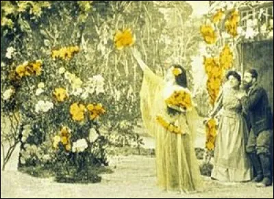 En transformant un superbe bouquet de fleurs, elle fit naître un joli bébé rose d'un coup de sa baguette magique. Le couple jusqu'alors désolé de ne pas avoir d'enfant ne se sent plus de joie.
C'est la fée ... dans un film muet qui s'intitule pareillement.