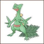 Qui est ce Pokemon ?