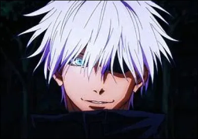 On passe à Gojo maintenant ! 
Comment son extension du territoire s'appelle-t-elle ?