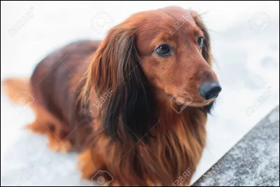 Quel type de peau préférerais-tu avoir ?
