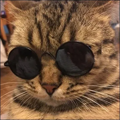 Quel est/était ton caractère à l'école ?