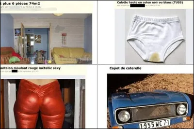 De ces trois sportifs, l'un est un champion reconnu et célèbre du MMA (Mixed Martial Arts) !