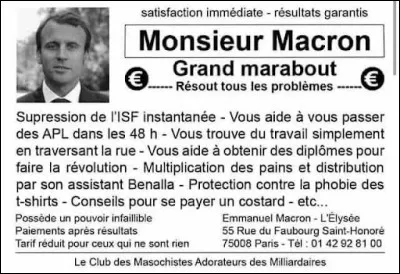 Rajouter "concolor" à son nom vous aidera sans doute à trouver l'identité de cet animal !