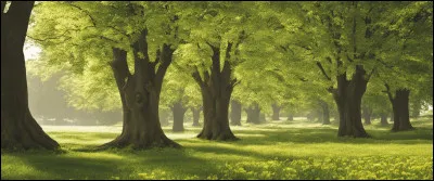 Alain-Fournier a écrit :