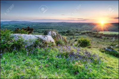 Qui est l'auteur des "Hauts de Hurlevent" ?