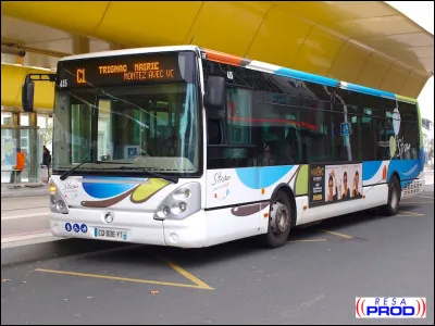 Quel nom la STRAN vient-elle de donner à son service de transports urbains (bus) ?
