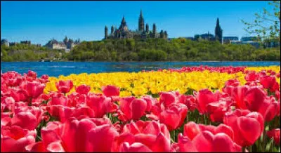 Quel est l'oiseau national de la Nouvelle-Zélande, incapable de voler en raison de ses ailes réduites ?
